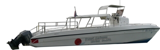 Pegasus Day Boat