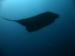 Phuket Fun dives