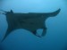 Phuket Fun dives