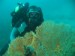 Tech Diver Education